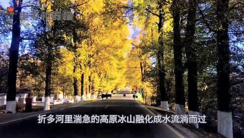 娱乐吃瓜君9,揭秘娱乐圈最新热点事件