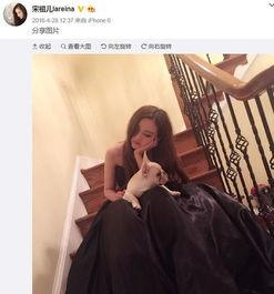 李克家个人资料,从基层奋斗到国家领导者的成长之路